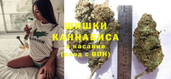 PSILOCYBIN Магадан