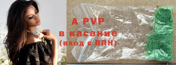 стаф Майский