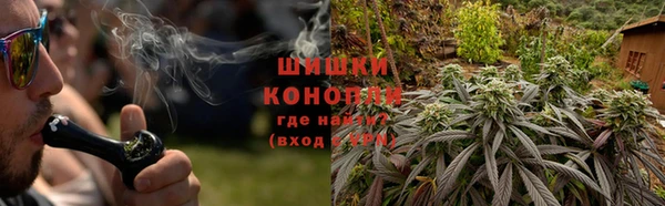 PSILOCYBIN Магадан